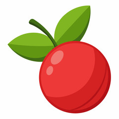 vector illustration of cranberry