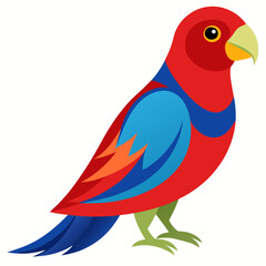 vector illustration of a crimson rosella