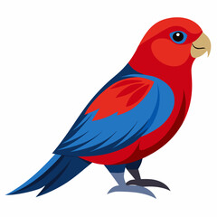 vector illustration of a crimson rosella