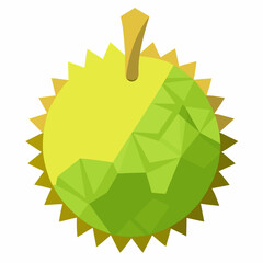 vector illustration of an durian