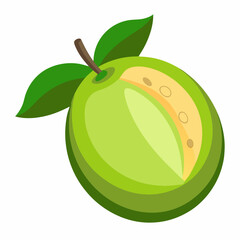 vector illustration of an feijoa