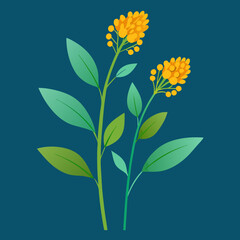vector illustration of goldenrod flowers