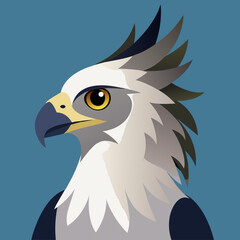 Obraz premium harpy eagle vector illustraion