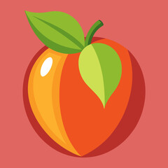 vector illustration of an hala fruit