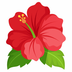 vector illustration of a hibiscus flower