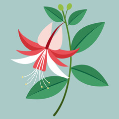 vector illustration of a honeysuckle flower