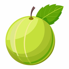 indian gooseberry isolated on white