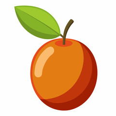 vector illustration of an jujube fruit