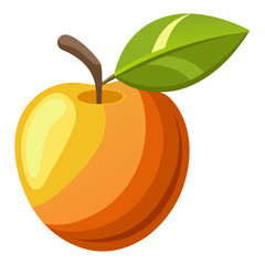 vector illustration of an jujube fruit