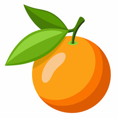 kumquat fruit vector illustration