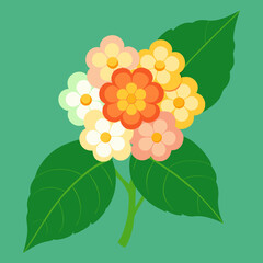 lantana flowers vector