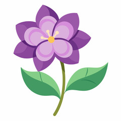 lilac flower isolated on white background