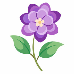 lilac flower isolated on white background