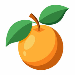 vector illustration of an loquat fruit