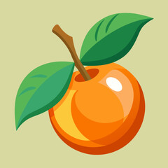 vector illustration of an loquat fruit
