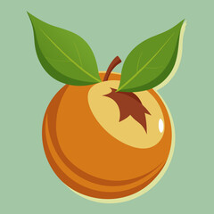vector illustration of an medlar