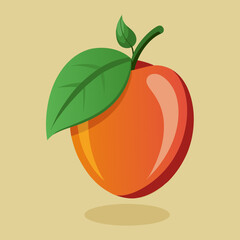 vector illustration of an miracle fruit
