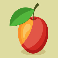 vector illustration of an miracle fruit