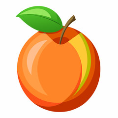 vector illustration of an nectarine