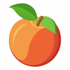 vector illustration of an nectarine
