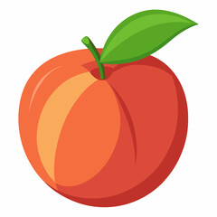 vector illustration of an nectarine
