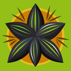 vector illustration of a nigella flower