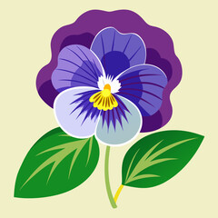 pansy flower on white background