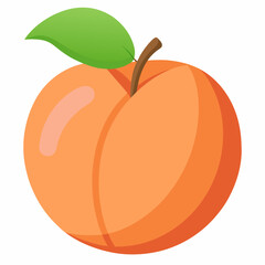 peach fruit vector illustration