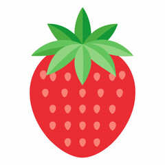 pineberry vector illustration