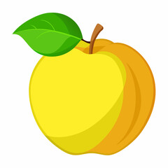 vector illustration of an quince