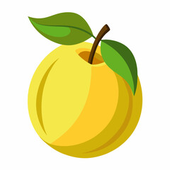 vector illustration of an quince