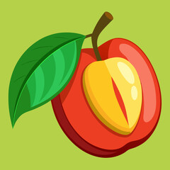 vector illustration of an ackee