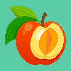 vector illustration of an ackee