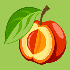 vector illustration of an ackee