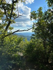 The beautiful outdoors from traveling