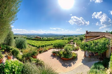 Fototapeta premium Sun-drenched Vineyards and Orchards: A Panoramic Vista of Lush Green Landscapes sky view wine rows 
