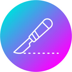 Cosmetic Surgery Icon