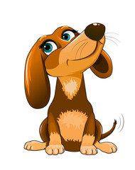 Friendly little dog. Cartoon little dog sitting. Joyful happy puppy. Friendly little dog dachshund. Doggy on white background