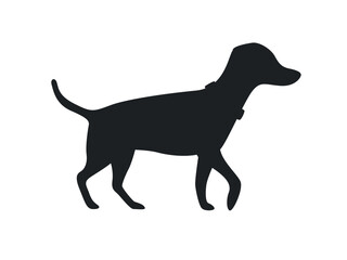 Walking dog black silhouette. Flat vector illustration isolated on white background