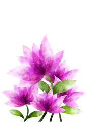 watercolor hand drawing of purple flowers on white background