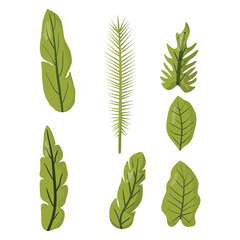 Collection of diverse green leaves in different shapes and textures. Ideal for botanical projects, eco-friendly designs, nature-inspired decorations, and seamless patterns