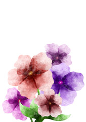 watercolor hand drawing of colorful flowers with white background splash