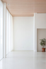 Fototapeta premium Bright and minimalist interior space with large windows and a potted plant