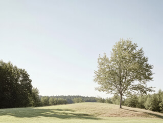 Lush green landscape with solitary tree on a gentle hill under clear blue sky