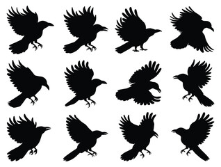 Silhouette of crows in flight and various positions vector illustration