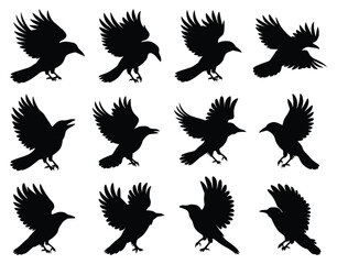 Silhouette of crows in flight and various positions vector illustration
