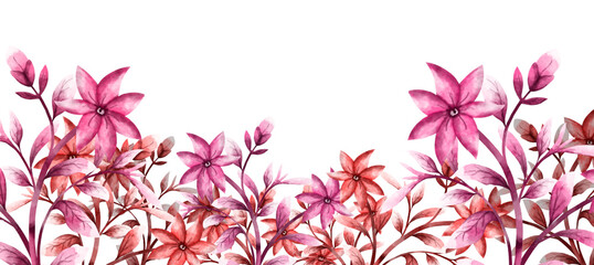 watercolor hand drawing of red flowers on a white background