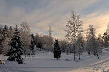 Obraz premium Winter