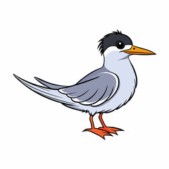 vector illustration of a common tern
