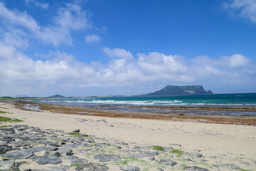 바다와 하늘이 어우러진 해안가 풍경 제주 서귀포시 성산읍 고성리 신양섭지 해수욕장